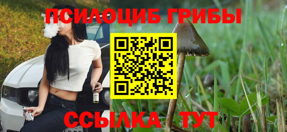 Псилоцибиновые грибы мицелий Калач-на-Дону